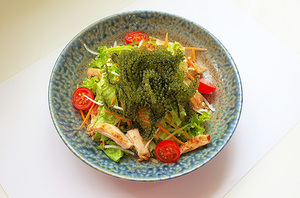 Umidibudo (Umbidubu) al por mayor, uva de mar deshidratada, algas marinas, caviar verde // Liam +84.865.912.655 - Product Image 5