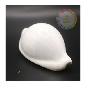 Proveedor de conchas marinas de cauri de huevo al por mayor-Suave y brillante, listo para pedidos a granel en decoración del hogar, artesanía, producción de joyas - Product Image 6