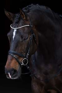 Bride Snaffle - Product Image 6