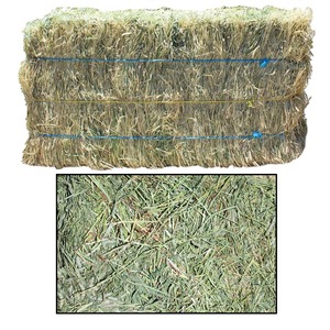 Heno de alfalfa verde a granel para piensos disponibles ahora heno de alfalfa de alta calidad con nutrientes equilibrados para animales - Product Image 5