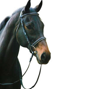 Bridon rembourré de forme premium pour chevaux, disponible en plusieurs tailles et couleurs, pour l'équitation western et les courses - Product Image 3