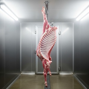 Hoy solo Cuerpo de cordero completo congelado de primera calidad, entrega rápida de exportación, el mejor precio al por mayor, suministro a granel de carne de oveja de alta calidad - Product Image 1