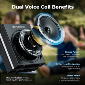 WinBridge S90 Speaker sistem PA portabel, 30W 2 mikrofon genggam nirkabel 5V pengisian USB AUX musik Play penguat suara - Product Image 4