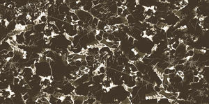 Carreaux de porcelaine émaillés aspect marbre brun super brillant Surface lisse 600x600 et 600x1200 pour les sols de maison en vente - Product Image 2