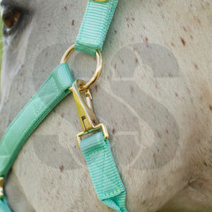 Cabestro de Nylon para Caballo de Calidad Premium OEM ODM, Ajustable, con Herrajes de Latón, Duradero, Acolchado Suave, de Cuero Genuino, Personalizado - Product Image 4