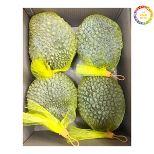 ทุเรียนแช่แข็งคุณภาพสูงรักษารสชาติและกลิ่นหอมดั้งเดิมจากเวียดนาม - Product Image 3