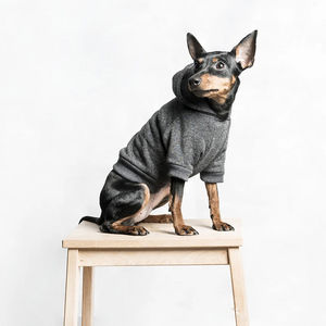 Vêtements pour chiens en gros, couleur unie, sweats à capuche de luxe personnalisés, légers, différents styles, sweats à capuche pour chiens professionnels - Product Image 3