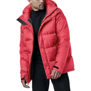 Veste matelassée pour homme en duvet de canard brillant promotionFashion - Product Image 2