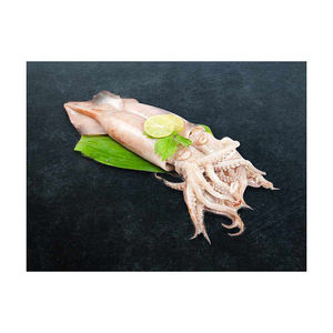 Calamar entero congelado de primera calidad disponible para suministro a granel con entrega rápida - Product Image 2