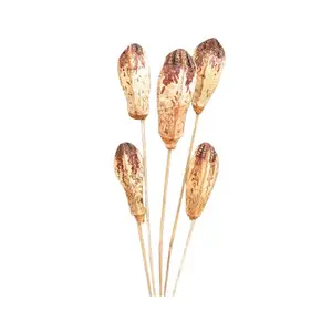 Сухое растение Mehogany, Экологичная сушеная натуральная растительная палочка для украшения
