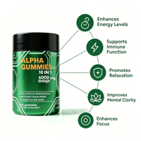 Gummies OEM de Saussurea lactone en gros pour hommes d'élite – Formule énergétique 10-en-1 – Usine de suppléments personnalisés sous marque privée