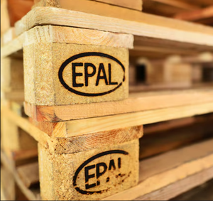 Palets Europeos de Plástico Reciclado de Alta Resistencia, Estilo EPAL de una Sola Cara para Uso Industrial, Venta al por Mayor - Product Image 1