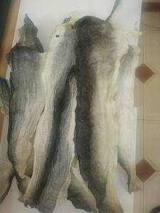 Piel de pescado Basa seca natural de alta calidad OEM piel de pescado Basa Pangacius seca - Product Image 2