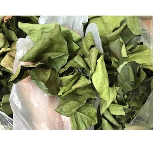 ใบส้มโอแห้งธรรมชาติ 100% ใบหอมสำหรับทำอาหาร สปา และการบำบัดเพื่อสุขภาพ คุณภาพพรีเมียมสำหรับการส่งออก - Product Image 6