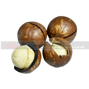 Macademia du Vietnam bon marché, de renommée, de qualité et bon pour la santé - Product Image 1