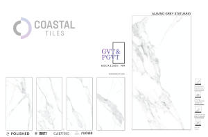 MARAVILLOSAS AZULEJOS INTERIORES CLASSY 600X1200X9MM AZULEJOS INTERIORES DURADEROS-ESTATUARIO GRIS ALAVINO - Product Image 2