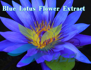 HGO Fournisseur direct d'usine d'extrait de fleur de lotus bleu pur naturel, qualité alimentaire, spécification 5:1 10:1 20:1 Ratio d'extrait - Product Image 2