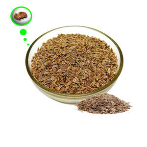 <b>Dill</b> | Healthy Culinary Item for Organic Cooking - Product Image 3