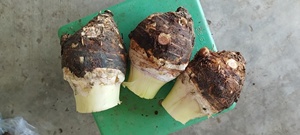 Taro congelado rentable de Vietnam perfecto para importadores de verduras congeladas - Product Image 6