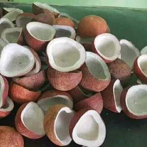 Premium Indonesian Edible White Copra Grade A High Oil Content Dried <b>Coconut</b> <b>Cup</b> Wholesale - Product Image 6