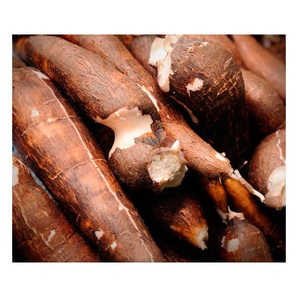 Cheap Price Supplier From Germany Fresh Yuca Root Cassava / Fresh Vegetables Tapioca Cassava At Wholesale Price