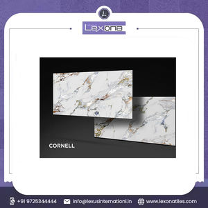 Azulejos de porcelana modernos de 600x1200MM, gran oferta, diseño de talla decorativa para decoración de suelos y paredes interiores - Product Image 2