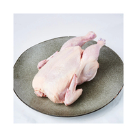 Poulet entier et en morceaux halal surgelé de haute qualité, vente en gros, prix abordable, qualité supérieure, normes internationales, riches en vitamines