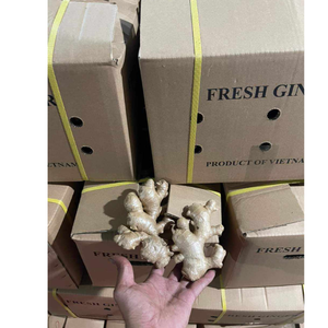 Gingembre frais de haute qualité avec un arôme puissant à peau lisse et une saveur naturelle adaptée à l'exportation et à l'approvisionnement en gros - Product Image 6