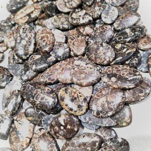 Piedra preciosa de ágata Turritella de la mejor calidad, cabujón de ágata Turritella Natural hecho a mano, uso de ágata Turritella pulida para joyería - Product Image 2