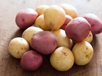Goedkope groothandel biologische verse aardappelen (Solanum Tuberosum) te koop