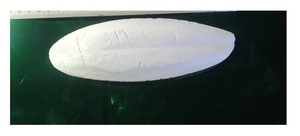 Vente en gros de petits os de seiche pour animaux, os de seiche séchés blancs naturels de Manfactory 99 Gold Data Vietnam - Product Image 3