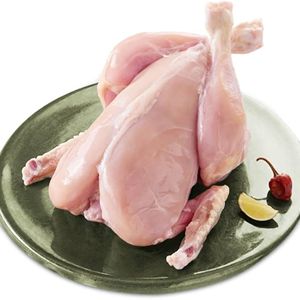 Offres spéciales poulet entier congelé nettoyé approvisionnement en vrac pas de plumes pas d'ecchymoses parfait pour la vente en gros et l'exportation - Product Image 6