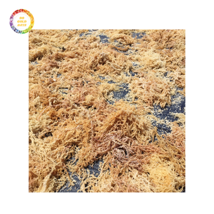 Premium Quality Irish Sea <b>Moss</b> Seasoned <b>Dried</b> Laver Affordably Priced for Bulk Orders and Export Bag Packaging Included - Product Image 1