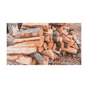 Venta al por mayor de leña de haya distribución a granel precio de descuento envío rápido listo para exportación - Product Image 6