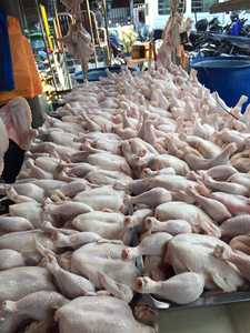 Pollo congelado muslos - Product Image 6