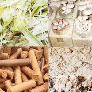 Bagasse de canne à sucre séchée naturelle 100% pour l'alimentation du bétail, production biologique d'énergie renouvelable de biomasse Agriculture écologique - Product Image 6