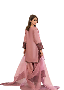 Ensemble Classique Long Shalwar Kameez pour Femmes - Ethnique Moderne Haute Qualité Prêt à Porter Tissu Personnalisable 2 Pièces Lavable Fête Diwali - Product Image 3