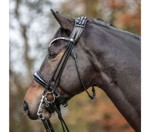 Bride de dressage double - Product Image 3