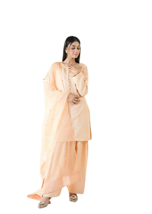 Robe de soirée longue pakistanaise grande célébration formelle de jour douce pour les occasions formelles - Product Image 6