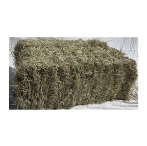 Heno de Bermuda de la Mejor Calidad a Precio de Oferta para Alimentación Animal - Product Image 4