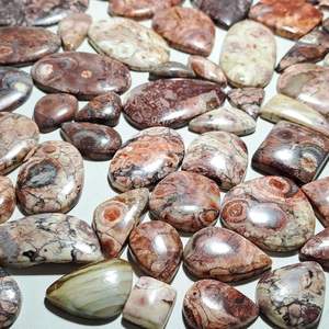 Cabujón de jaspe de ojo de pájaro verde de grado AAA de alta calidad 100% piedras preciosas mexicanas naturales forma de mezcla piedras preciosas sueltas de la mejor calidad - Product Image 2