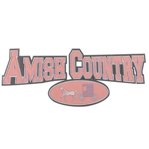 Patchs brodés en sergé de coton en gros, design découpé au laser, thermocollants, pour vêtements de sport, décorations avec badges, patchs en chenille en caoutchouc - Product Image 2