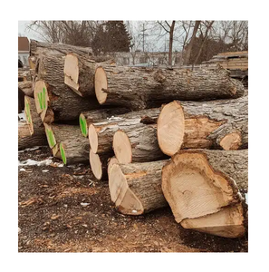 High Quality White Oak and Red Oak <b>Logs</b> Round Timber for Furniture and Hardwood Processing - Product Image 3