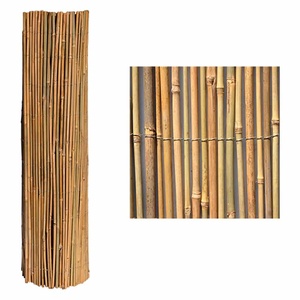 Filo esterno 'mister' Cm 200 X 300 - Product Image 1