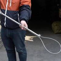 Canne de capture pour chiens et porcs en acier inoxydable, outil de contention vétérinaire pour animaux d'élevage, certifié CE Classe III