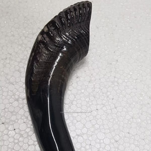 Shofar artisanal en corne de bélier poli, style religieux, artisanat naturel original, prix d'usine en gros - Product Image 1