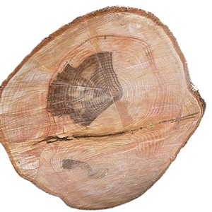 ไม้สัก/ไม้สนล็อกไม้โอ๊คสำหรับจำหน่ายในราคาถูก - Product Image 1