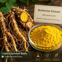 Approvisionnement d'usine : Chlorhydrate de berbérine 97% - Extrait de Coptis Chinensis de qualité alimentaire en poudre jaune