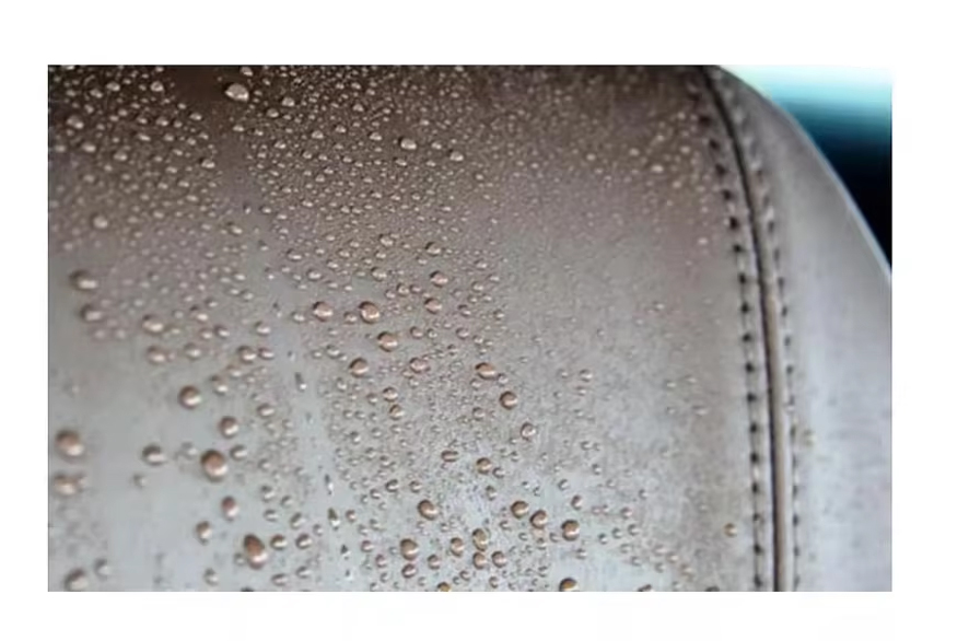 เหลืองอ่อน