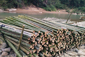 Postes de bambú duraderos para proyectos al aire libre e interiores Ecológicos y rentables - Product Image 6